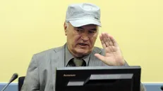 محکومیت «قصاب بوسنی» به حبس ابد