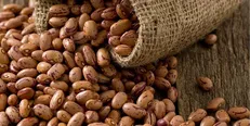 قیمت لوبیا چیتی از گوشت مرغ گران‌تر شد