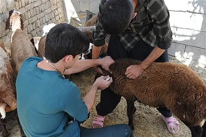 جهادگران &laquo;کمیته سلامت در بلایا و حوادث دانشگاه آزاد&raquo; به مردم لرستان خدمات درمانی ارائه کردند