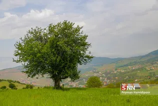 بهار