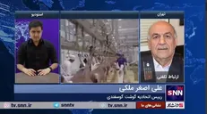 ملکی: دلیل افزایش قیمت گوشت قرمز کمبود عرضه است/ دام از کشور قاچاق می‌شود