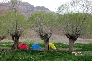 پرسون