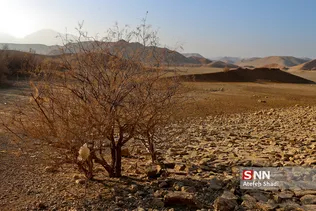 خشک سالی بند عبدل آباد