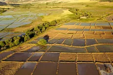 افزایش ۵۸ درصدی جلوگیری از تغییر کاربری غیرمجاز زمین‌های کشاورزی در دولت سیزدهم
