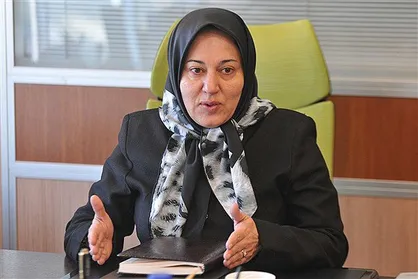 حساب ایرانیان در گرجستان بلوکه شد/ سفارت ایران پیگیر رفع انسداد