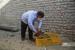 رهاسازی ۹ قطعه پرنده شکاری و آبزی در تالاب بهشت معصومه