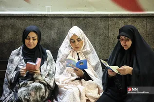 دبب