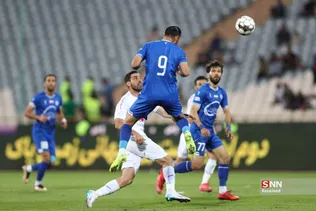 دبب