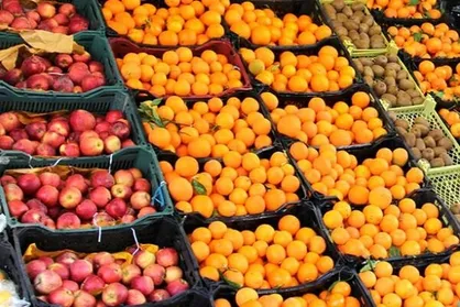تعاونی&zwnj;های روستایی برای مقابله با گرانی باید احیا شود