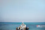 صثفصل