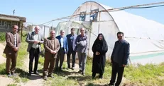 آمادگی سازمان مدیریت و برنامه‌ریزی استان لرستان برای حمایت از پروژه‌های دانش‌بنیان دانشگاهی