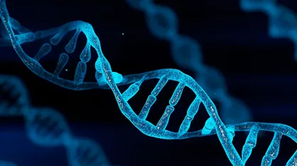 دیتاسنتر&zwnj;های حاوی DNA تا ده&zwnj;سال دیگر آغاز به کار می&zwnj;کنند