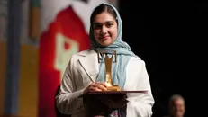 آثار برگزیدگان جشنواره فیلم مدرسه، در جشنواره‌های بین المللی شرکت داده خواهد شد