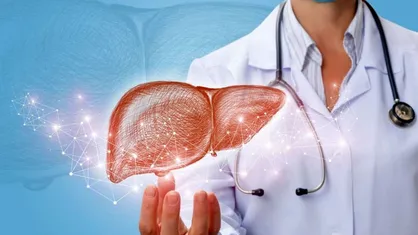 نانوذرات پلیمری با شایع&zwnj;ترین نوع سرطان کبد مقابله می&zwnj;کنند