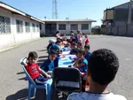 کبوتران رحمت