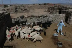 ۱۰ هزار و ۵۰۰ شغل جدید برکت در خراسان جنوبی