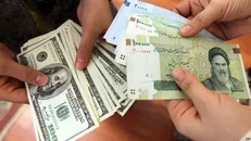 دولت نمی‌خواهد درباره دریافت کنندگان ارز شفاف عمل کند