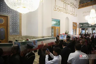 دبب