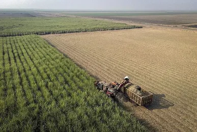الگوی کشت بودجه لازم دارد