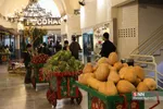 yalda