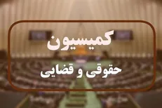 اعضای کمیسیون حقوقی مجلس این هفته با رئیس‌جمهور دیدار می‌کنند