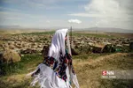 کلات