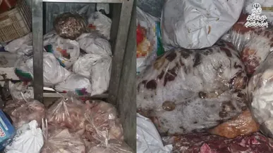 کشف ۶۰۰ کیلوگرم گوشت فاسد در یکی از دانشگاه‌های خراسان جنوبی