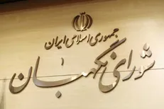 دستگیری ۱۲ مدعی نفوذ در فرایند انتخابات با گزارش شورای نگهبان/ کلاهبرداران هیچ ارتباطی در شورا نداشتند