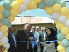 آغاز به کار نخستین خانه هنر ویژه فرزندان دارای اختلال اتیسم ایران در کرمان