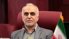 اظهار کالا تنها از طریق سامانه پنجره واحد گمرک