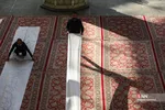 ضیافت افطاری در حرم حضرت معصومه(س)