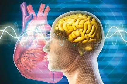 مدل&zwnj;سازی الگو&zwnj;های ریتمیک در رفتار&zwnj;های جمعی طبیعت با همکاری پژوهشگر دانشگاه خلیج فارس و پژوهشگران بین&zwnj;المللی