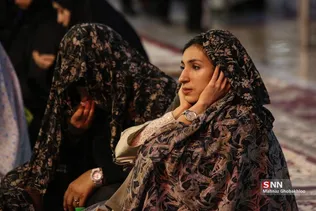 دبب