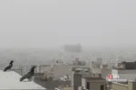 یبت