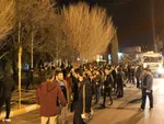 دانشگاه شیراز