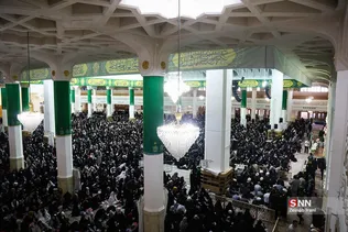 دبب