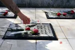 دانشگاه