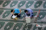 جزء خوانی قرآن کریم در حرم حضرت عبدالعظیم(ع)