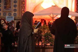 دبب