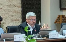 تعیین تکلیف پروژه طلای سفید را قضایی می‌کنیم