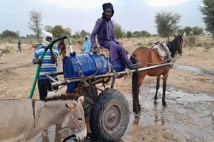 احتمال فرار بیش از ۸۰۰ هزار نفر از سودان