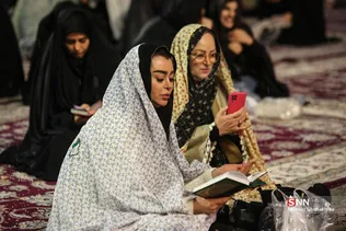 دبب