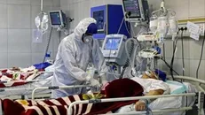 کرونا در شبانه روز گذشته ۴۶ قربانی گرفت/ ۱۶ استان بدون مرگ و میر