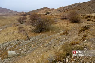 خشک سالی بند عبدل آباد