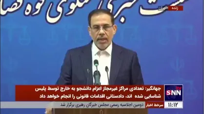 جهانگیر: پلیس بین الملل نسبت به استرداد &laquo;مرجان شیخ الاسلامی&raquo; اقدام کرده است
