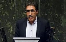 علیزاده: آقای پزشکیان با تشکیل دولت وفاق ملی و با معرفی این کابینه هزینه سنگینی دارد پرداخت می‌کند/ مجلس باید همراهی کند + فیلم