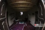 باغ گیاه شناسی