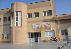 انقلاب در روستا‌ها چه کرد؟