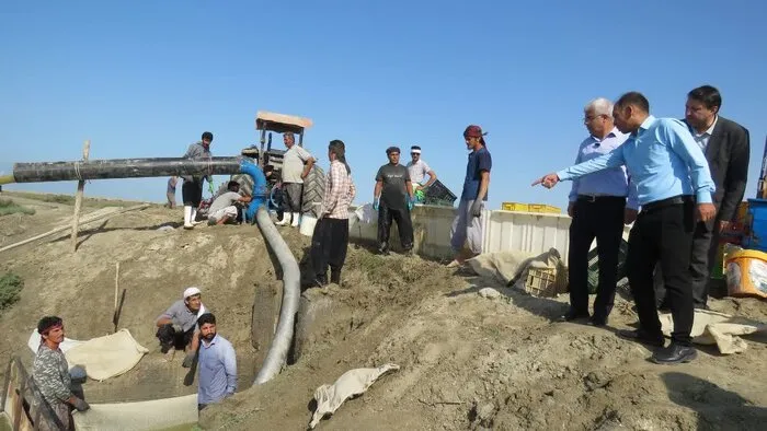 استحصال میگو در گلستان آغاز شد