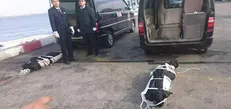 انتقال پیکر سه دریانورد ایرانی نفتکش سانچی به تهران